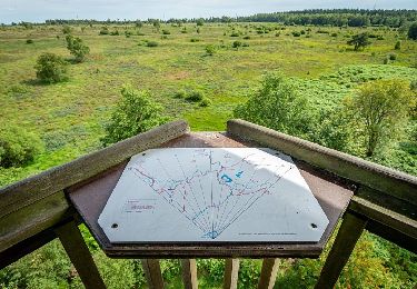 Excursión Senderismo Spa - SityTrail - SPA 17 - La Fagne de Malchamps par la Vecquée 🟦 - Photo