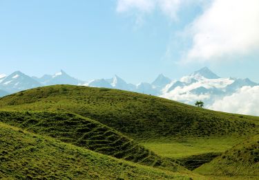 Trail On foot Crans-Montana - Montagne du Plan - Trubelstock - Photo