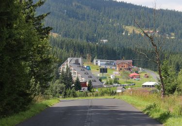 Tour Zu Fuß Böhmisch Wiesenthal - Lehrpfad Loučná pod Klínovcem - Photo