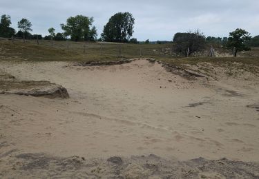 Trail Walking Ghyvelde - Dune fossile de Ghyvelde - Photo