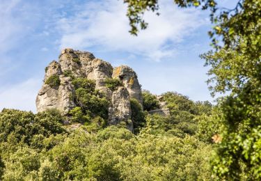 Trail Walking Saint-Saturnin-de-Lucian - TRK000 - Photo