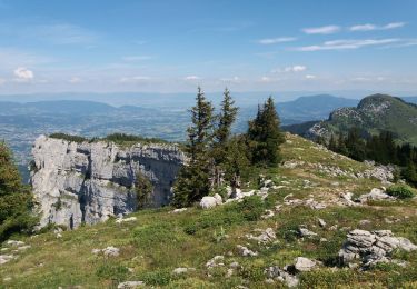 Trail Walking Glières-Val-de-Borne - BARGY: CENISE - ROCHERS DE LESCHAUX - SOLAISON - COL DE CENISE - Photo