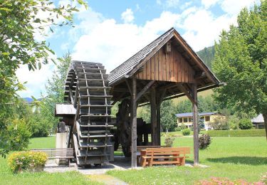 Excursión A pie Glödnitz - Mödringberg - Photo