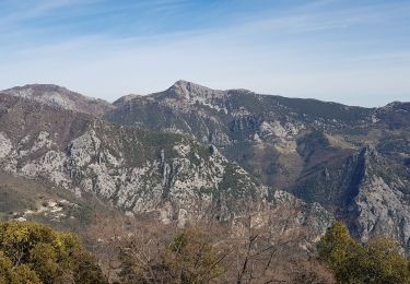 Randonnée Marche Peille - pointe siricocca mont ours par pic de garuche  - Photo