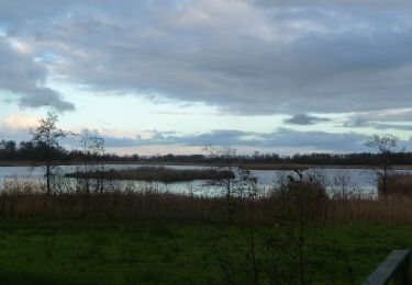 Randonnée A pied Steenwijkerland - Wikiloc Wanneperveen De Wieden (PVDB) - Photo