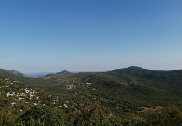 Trail Walking Montpeyroux - Mont St Baudile  - Photo