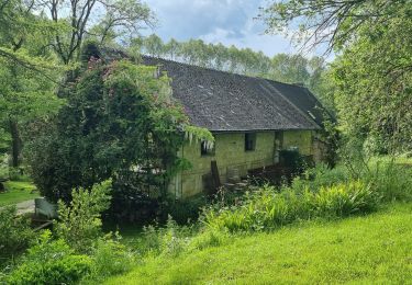 Tour Wandern Osly-Courtil - la balade de Saint Médard - Photo