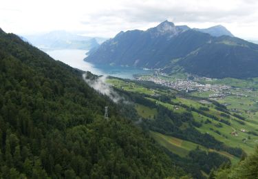 Tour Zu Fuß Morschach - Stoos - Fronalpstock - Photo