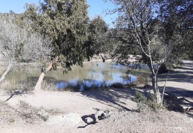 Excursión Bici de montaña Fréjus - 53 km Esterel - Photo