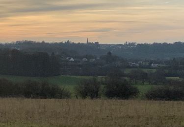 Tour Wandern Florenville - Dimanche avant 2020 - Photo