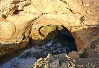 Tour Wandern Lagoa e Carvoeiro - Praia de Marinha  - Photo