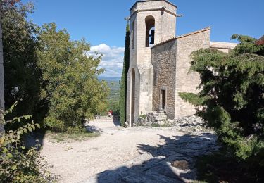 Randonnée Marche Oppède - Oppède le vieux - Photo