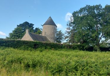 Trail Walking Marzan - PR_56_Marzan_AA_01_Circuit1b_Des-Moulins_20240524 - Photo