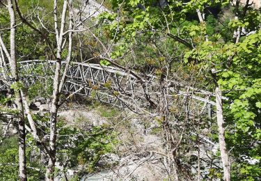 Excursión Senderismo La Palud-sur-Verdon - Le Sentier Martel - Photo