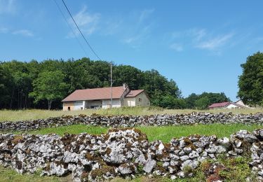 Trail Walking Le Poizat-Lalleyriat - Les Granges Gilet de la Frasse - Photo