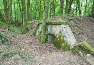 Trail Walking Châlonvillars - Chalonvillars - fort du Salbert  - Photo