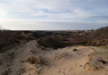 Randonnée Marche La Panne - Balade Westhoek avec Lila - Photo