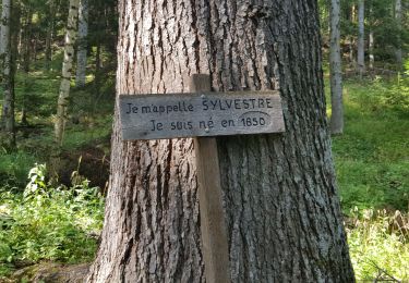 Trail Walking Crots - Fontaine de l'ours et belvederes bragouse - Photo