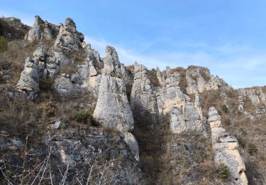 Tocht Stappen Massegros Causses Gorges - cirque des Baumes / le Point Sublime - Photo