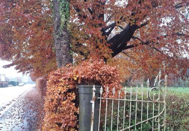 Tocht Stappen Sprimont - randounette entre banneux  et adzeux - Photo