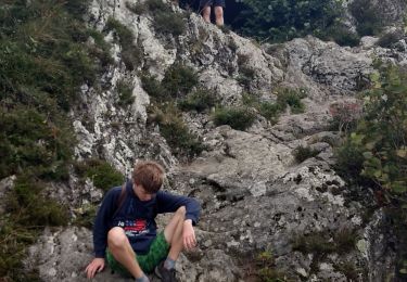 Tocht Stappen Orcines - Puy de Pariou- Puy de Dôme- Petit Suchet - Photo