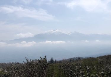 Tour Wandern Prades - 20210331 boucle au départ de Catllar - Photo