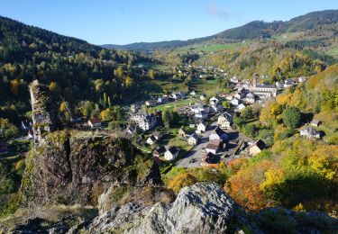 Tour Wandern Diedolshausen - Le  Bonhomme-le Brézouard - Photo