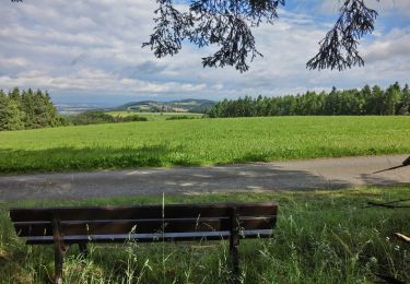 Tour Zu Fuß Goldkronach - Goldkronach Rundwanderweg Nr. 1 - Photo