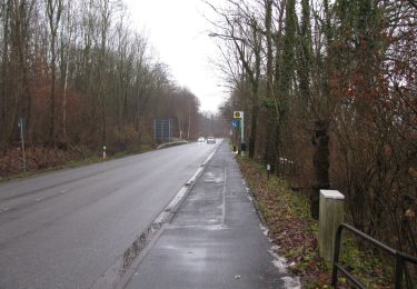 Tour Zu Fuß Baunatal - Guntershausen - Bilsteiner Born - Photo