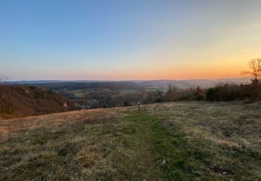 Tour Wandern Viroinval - Roche à Lomme 3 - Photo