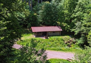 Percorso Equitazione Mollkirch - 2023-05-28 Picnic CVA Cabane des 5 routes - Photo