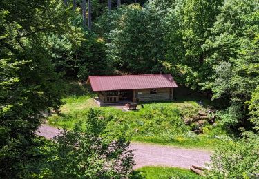 Tocht Paardrijden Mollkirch - 2023-05-28 Picnic CVA Cabane des 5 routes - Photo