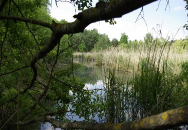 Tocht Te voet Heßdorf - Erlangen 7 grün - Photo