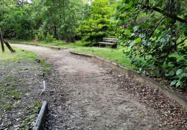 Tour Wandern Le Lamentin - Parcours de santé du morne Cabri  - Photo