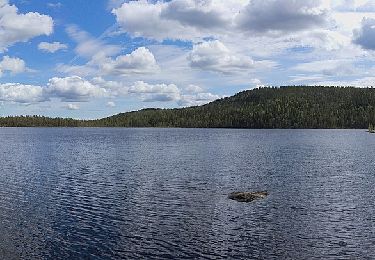 Trail On foot  - Guldbäcksleden - Photo