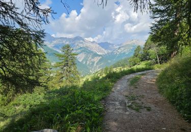Excursión Senderismo Arvieux - le lac de la roue - Photo