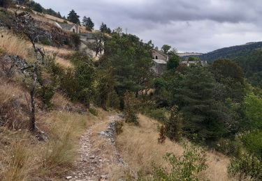Trail Walking Le Rozier - GR6 jour 10 Hyelzas - Photo