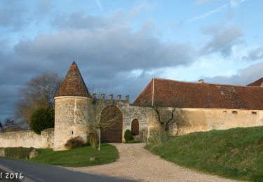 Excursión Senderismo Cour-Maugis sur Huisne - La Sentinelle de Commeauche 6.2 Km - Photo