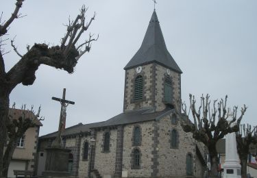 Trail On foot Queuille - Vallon de la Viouze - Photo