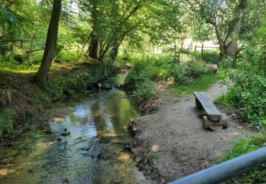 Tocht Mountainbike Eigenbrakel - 👍VTT au départ de Braine-L'Alleud  - Photo