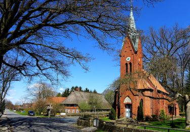 Tour Zu Fuß Bispingen - Rundwanderweg Hörpel H1 - Photo