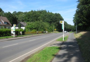 Randonnée A pied Bad Arolsen - Bad Arolsen Wanderweg A4 - Photo