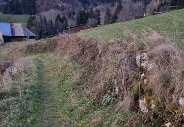 Tocht Stappen Bellecombe-en-Bauges - com de bornette - Photo