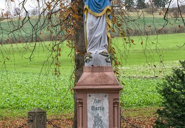 Excursión A pie Paderborn - Haxtergrund Rundweg Rot - Photo