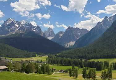 Trail Walking Sexten - Sesto - sesto 138m 4.54kms - Photo