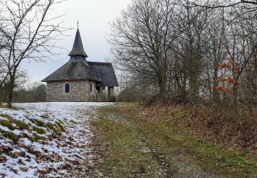 Excursión Senderismo Tellin - Grupont au Bois de Machi - Photo