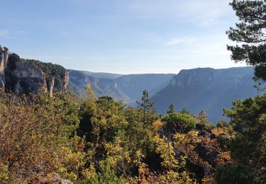 Excursión Senderismo Saint-Pierre-des-Tripiers - Boucle Cassagnes - Gorges Jonte - Photo