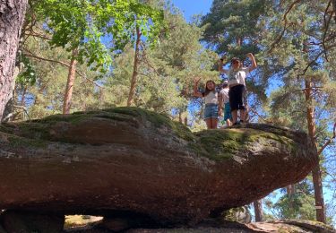 Tour Wandern Urbeis - Orbey Pierre tremblante - Photo