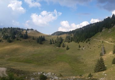 Trail Walking Fillière - refuge Patmelan via anglettaz . gd glacière . fontaine du tour . grotte de l enfer  / retour via gd montoir et pt montoir  - Photo