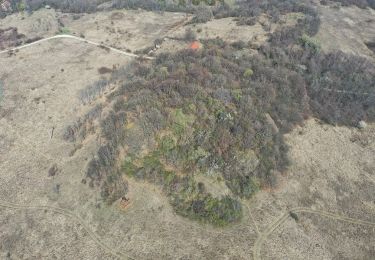 Randonnée A pied Esztergom - Z kápolna (Kis-Kúria-hegy - Hármas szikla utca - Kukländer-domb - Esztergomi bazilika - Hajóállomás) - Photo